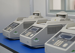 永州司法DNA亲子鉴定价格 永州司法DNA亲子鉴定价格