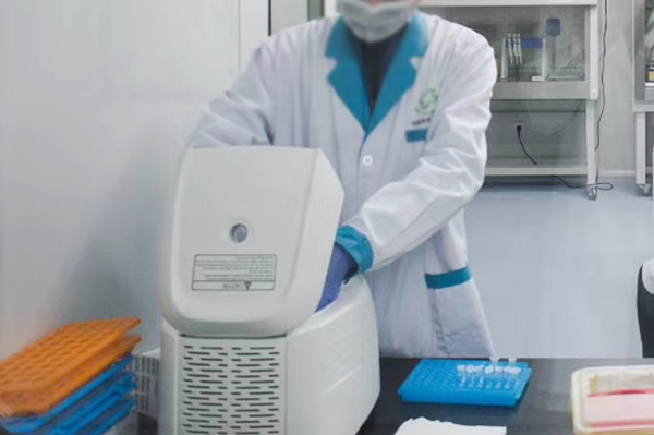 永州上学亲子鉴定机构在哪里,永州升学DNA亲子鉴定如何做 永州上学亲子鉴定机构在哪里,永州升学DNA亲子鉴定如何做